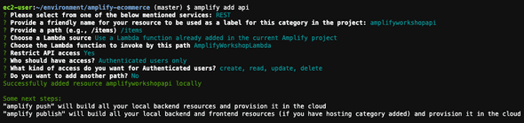 aws-amplify-api-3